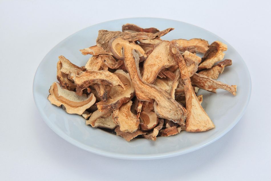 Guide to drying and preserving mushrooms for therapeutic use